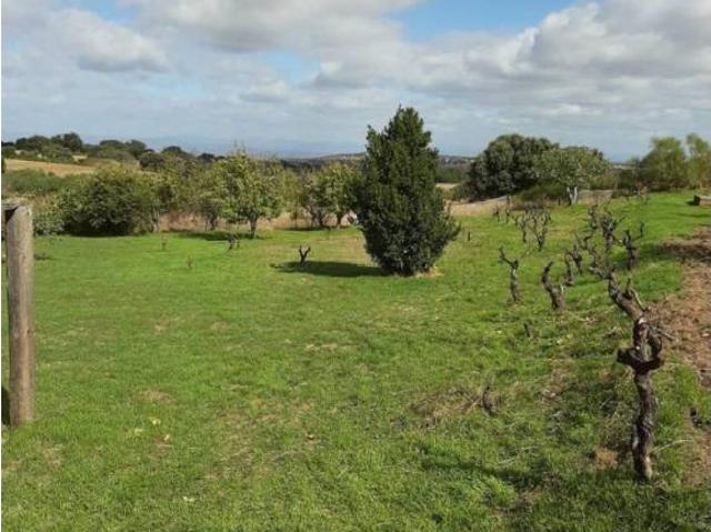 Casa en venta en Jerte, Extremadura