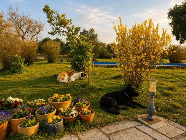 Casa en venta en La Cabrera, Madrid