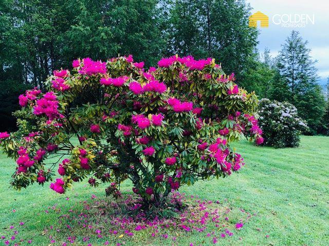 Casa en Venta en La Candelaria