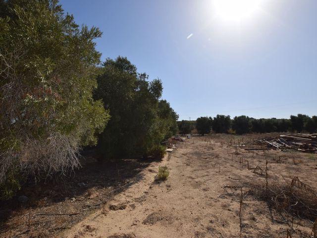 Casa en venta en Regs del Porvenir, Elx / Elche