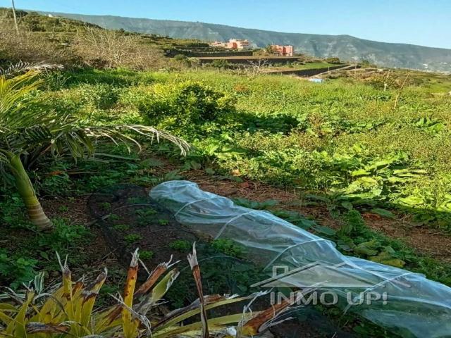 Casa en venta en La orotava, Canarias
