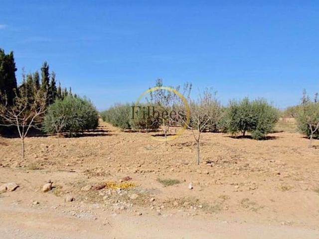 Casa en venta en La Pinilla, Fuente Álamo de Murcia