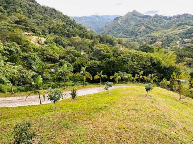 Casa En Venta En La Vega En. V248448