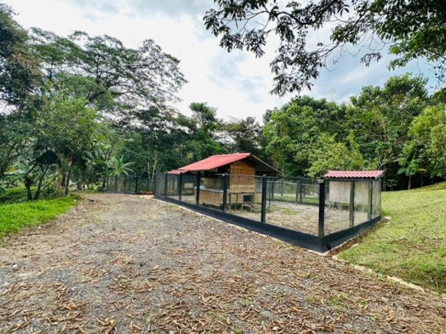 Casa En Venta En La Vega En. V248448