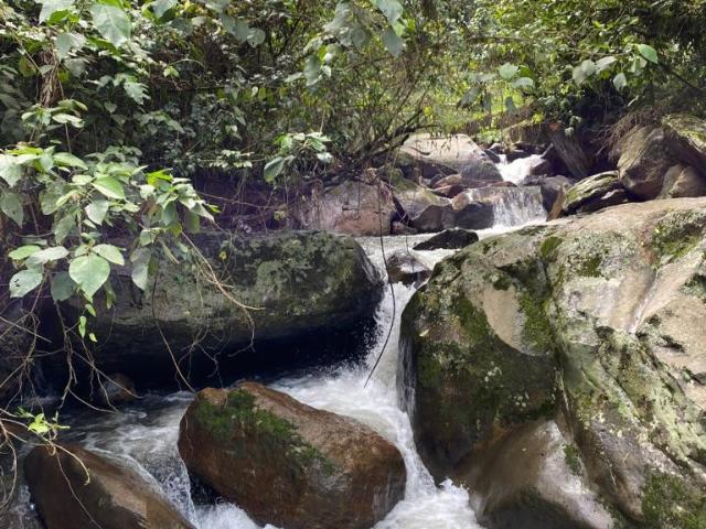 Casa En Venta En La Vega En. V253571