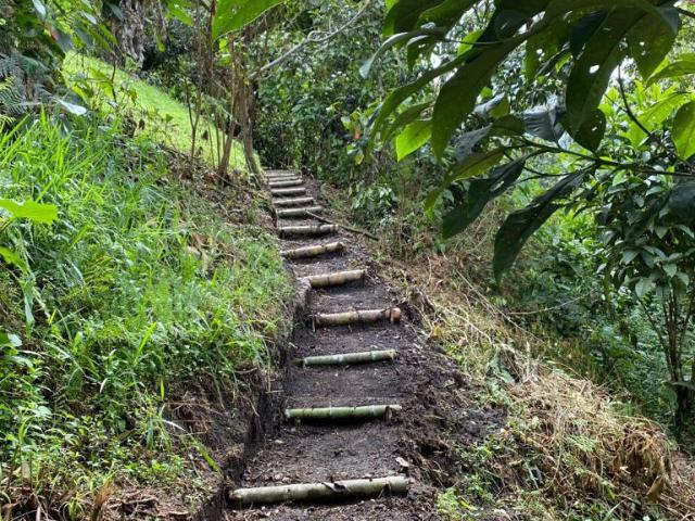 Casa En Venta En La Vega En. V253571