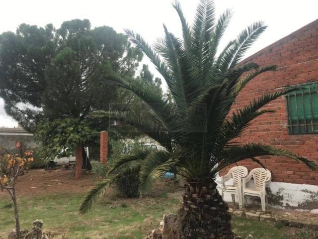 Casa en venta en La Villa De Don Fadrique, Castilla-La Mancha