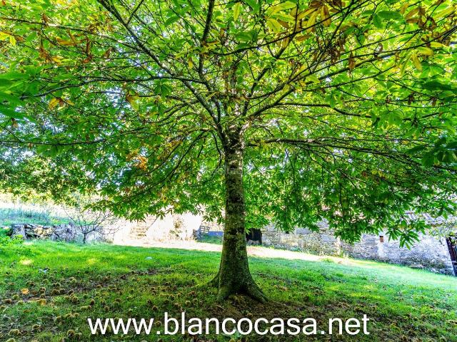Casa en venta en Lañas, A Coruña
