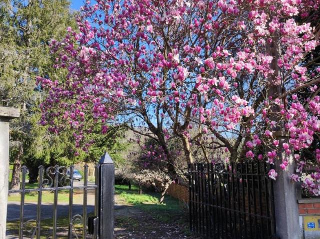Casa en venta en Goikolea, Larrabetzu