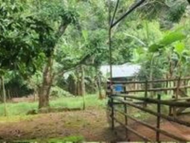 Casa en venta en las lomas david