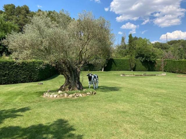 Casa en venta en León, Castilla y León