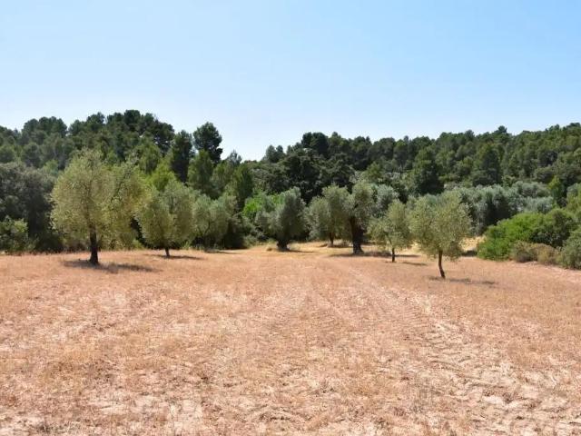Casa en venta en Matarraña / Matarranya, Lledó