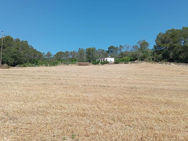 Casa en venta en Pla de Mallorca, Baleares