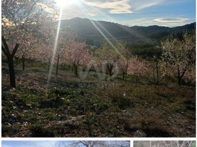 Casa en venta en Alto Guadalentín, Murcia