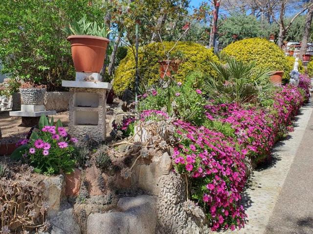 Casa en venta en la Selva, Catalunya