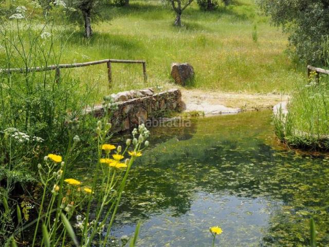 Casa en venta en Madroñera, Extremadura