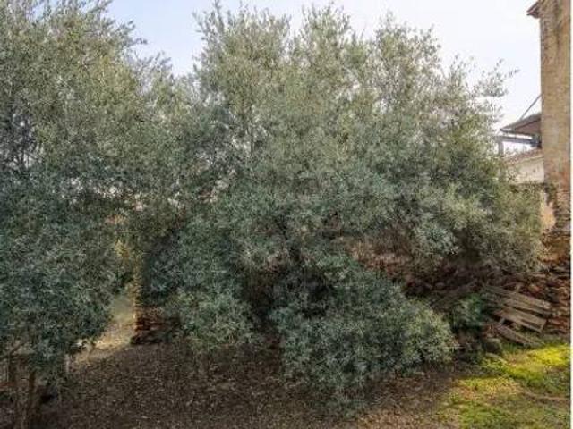 Casa en venta en Malcocinado, Extremadura
