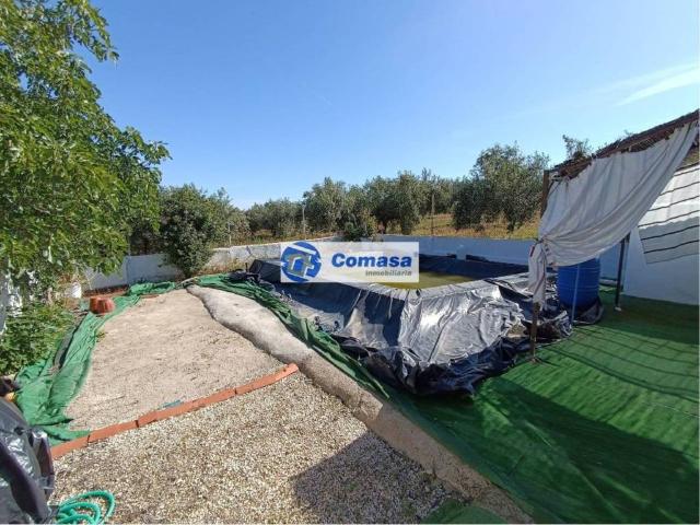 Casa en venta en Martos, Andalucía