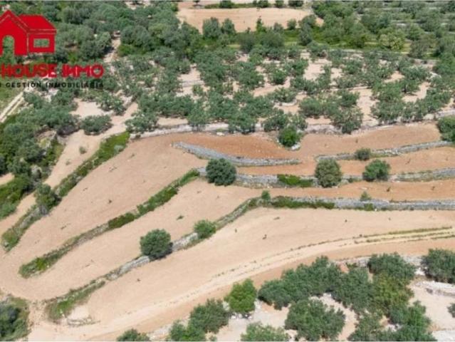 Terreno en venta en Montsià, Catalunya