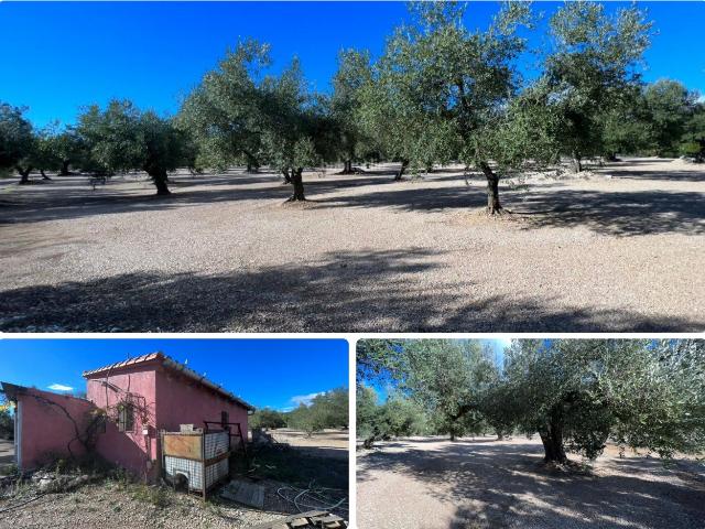 Casa Rural en venta en Mas De Barberans