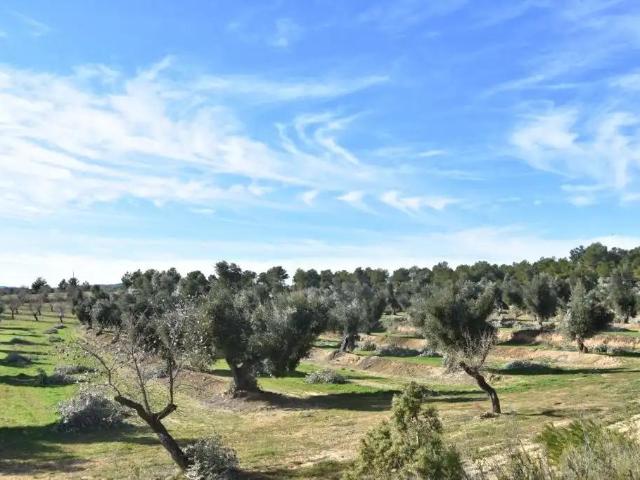 Casa en venta en Mazaleón / Massalió, Matarraña / Matarranya