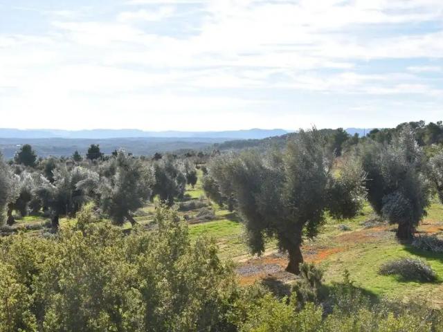 Casa en venta en Matarraña / Matarranya, Mazaleón