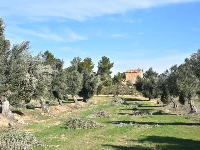 Casa en venta en Matarraña / Matarranya, Mazaleón
