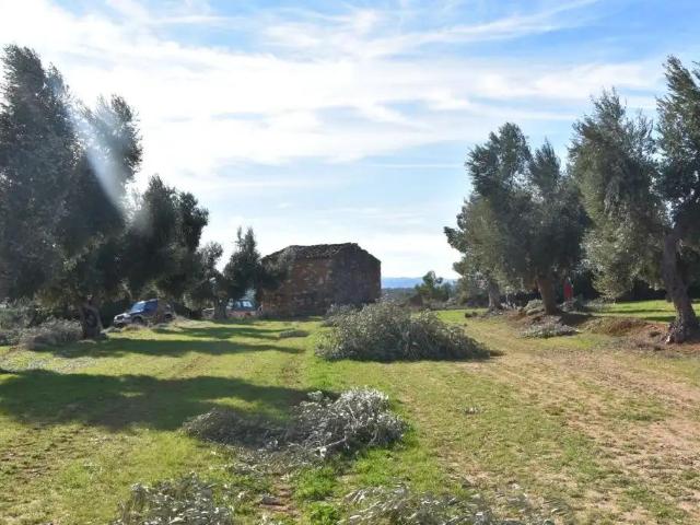 Casa en venta en Matarraña / Matarranya, Mazaleón