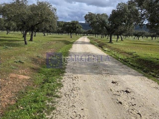Casa en venta en Mérida