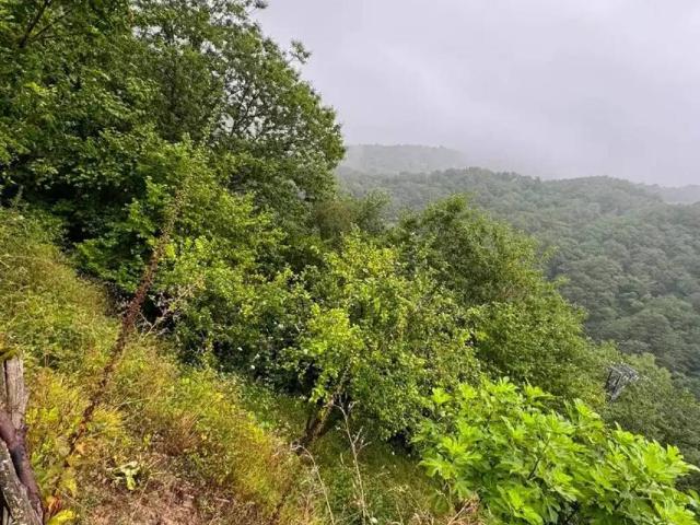 Casa en venta en Mieres, Asturias