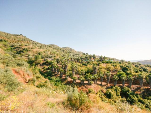 Casa en venta en Sierra de las Nieves, Andalucía