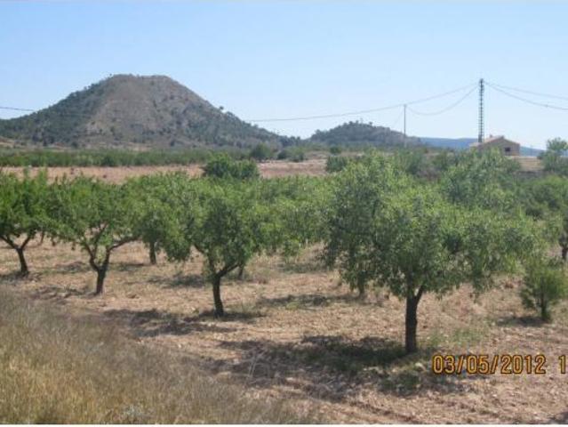 Casa en venta en Cases del Senyor, el Vinalopó Mitjà / El Vinalopó Medio