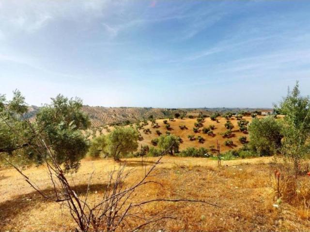 Casa en venta en Montoro, Andalucía