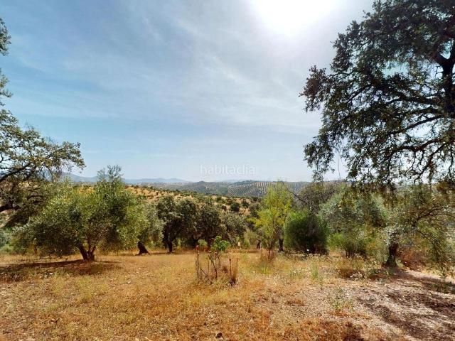 Casa en venta en Montoro, Andalucía