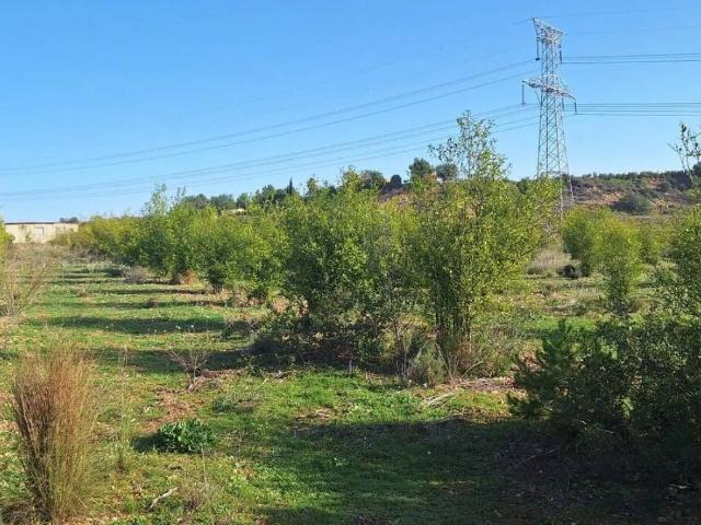 Casa en venta en la Ribera Alta, Valencia