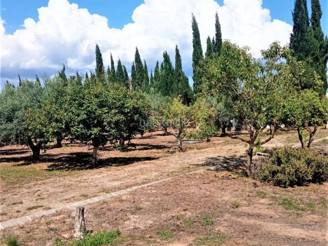 Casa en venta en Ribera d'Ebre, Catalunya