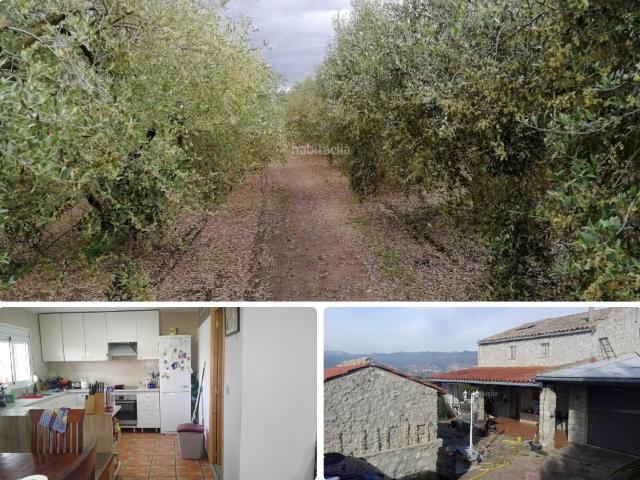 Casa en venta en Móra La Nova