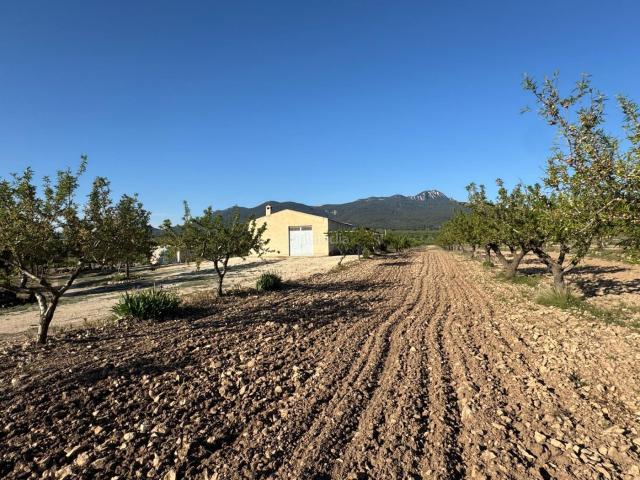 Casa en venta en Noroeste, Murcia