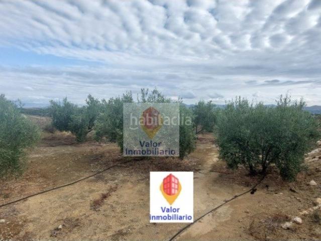 Casa en venta en Murcia, Área Metropolitana de Murcia