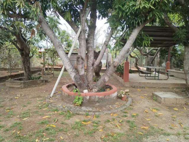 Casa venta en Natá