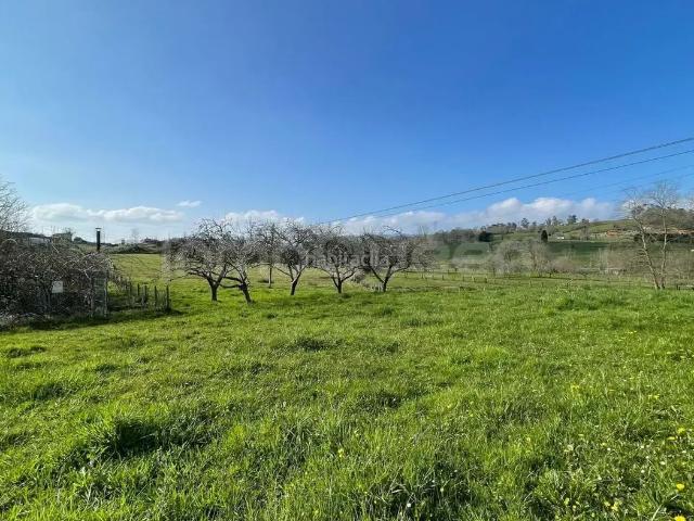Casa en venta en Nava, Asturias