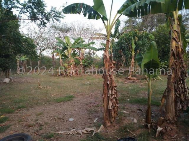 Casa en Venta en Ocú Herrera 220 m2. 3 hab