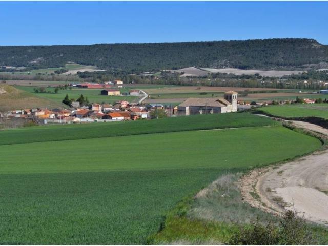 Casa en venta en Olivares De Duero, Castilla y León