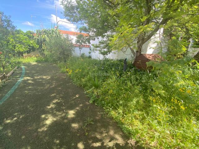 Casa en venta en Avenida de la Quinta de San Juan, Llanos de Olivenza