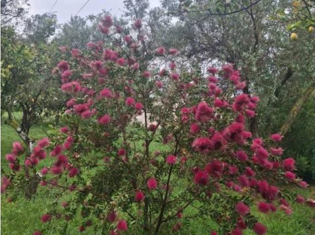 Casa en venta en Comarca de la Alpujarra Granadina, Andalucía