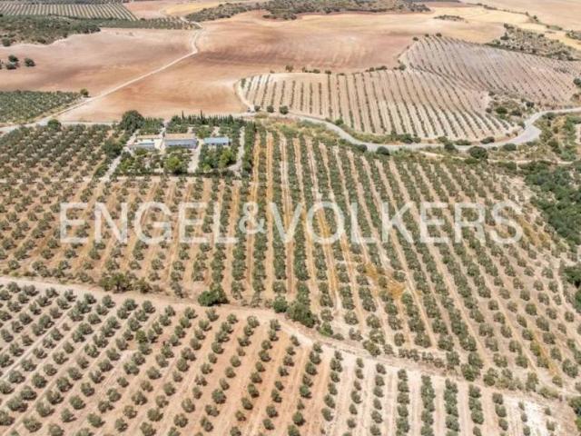 Casa en venta en Osuna, Andalucía