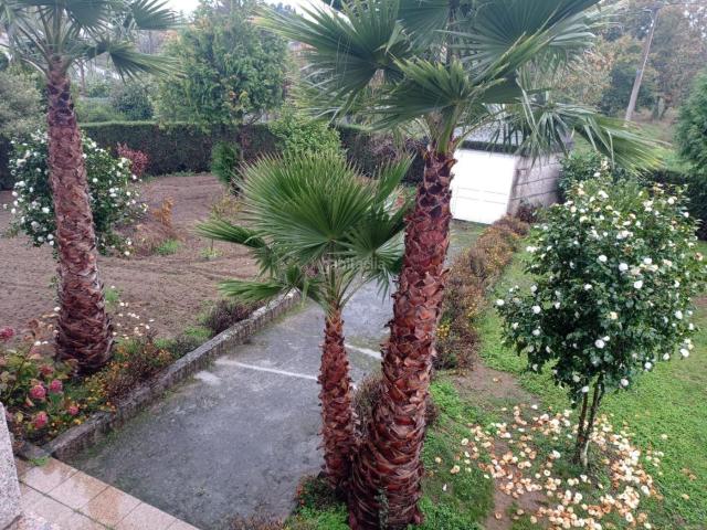 Casa en venta en Centro, Ourense