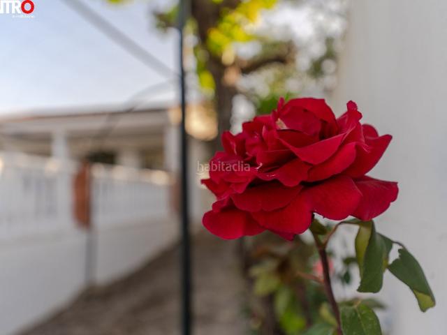Casa en venta en Comarca del Valle de Lecrín, Andalucía