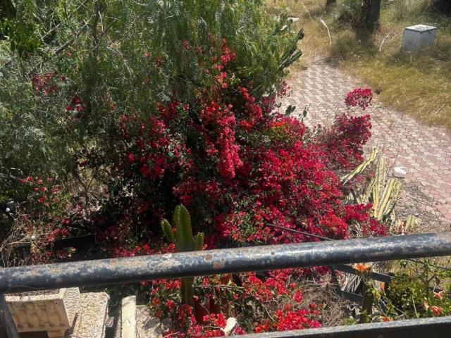 Casa en venta en Palma, Es Turó