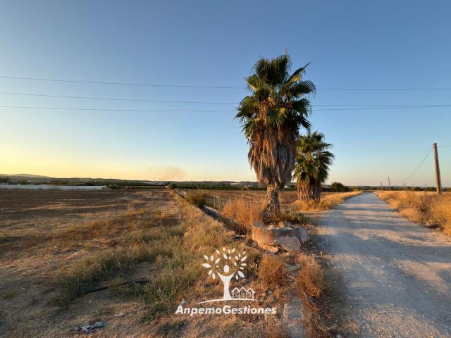 Casa en venta en Palma Del Río, Andalucía